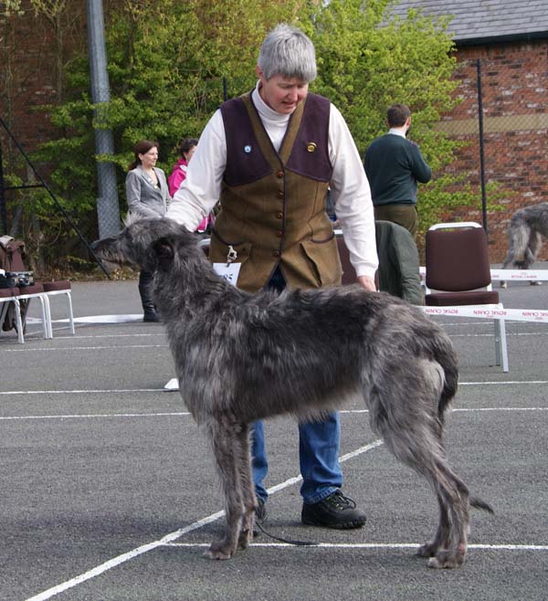 Pyefleet Skatha at Ollandshart